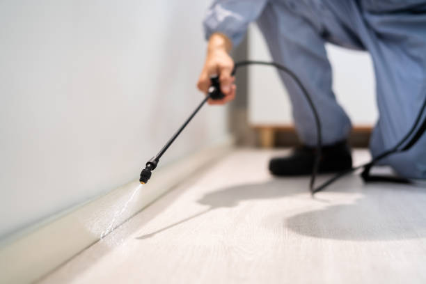 Licensed Termite Control service in Franklin County County, MO - Nex Pest Control