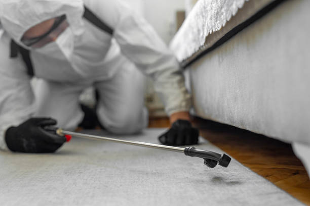 Professional Termite Control technician working in Franklin County County, MO